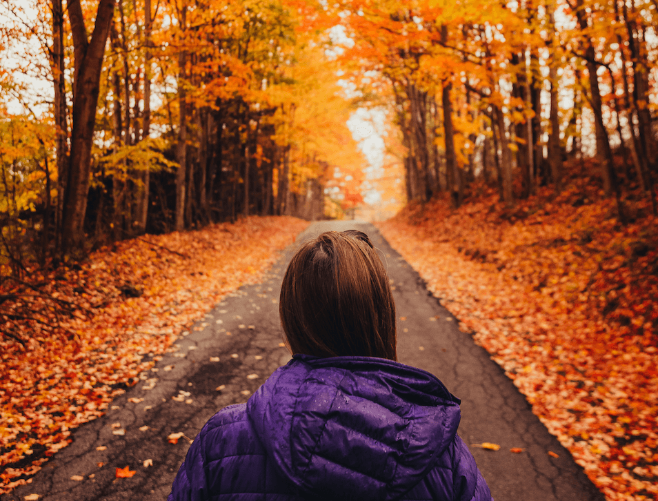 Things to Do in Summersville