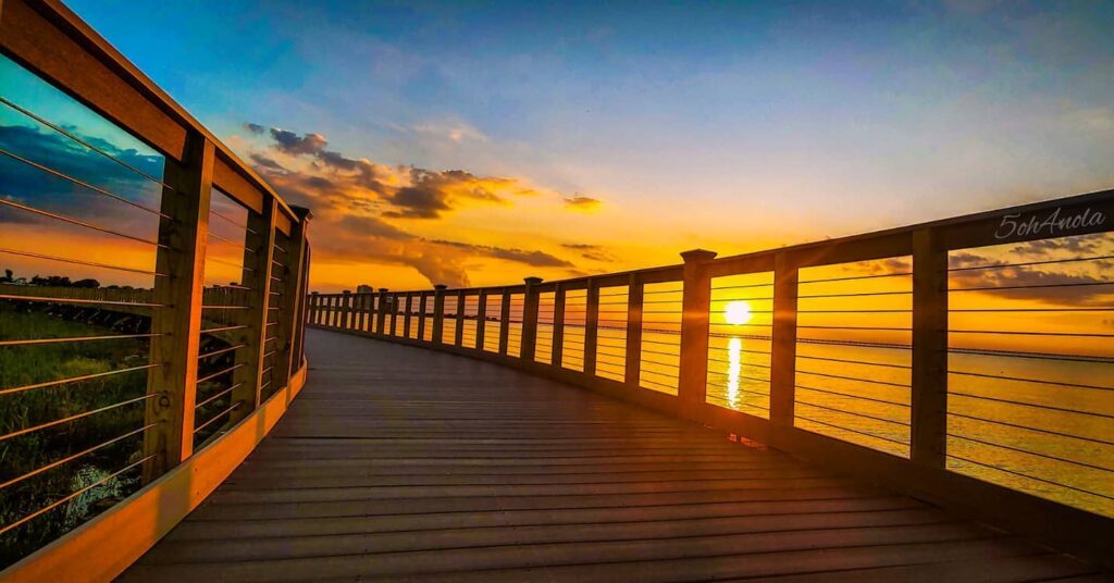 The Louisiana Oyster Trail
