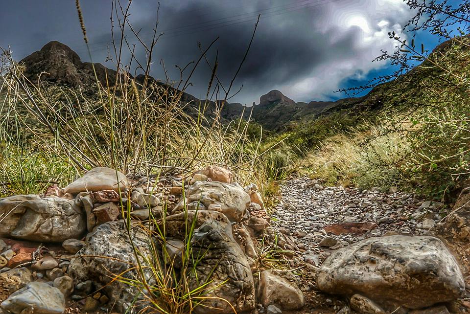 El Paso, TX