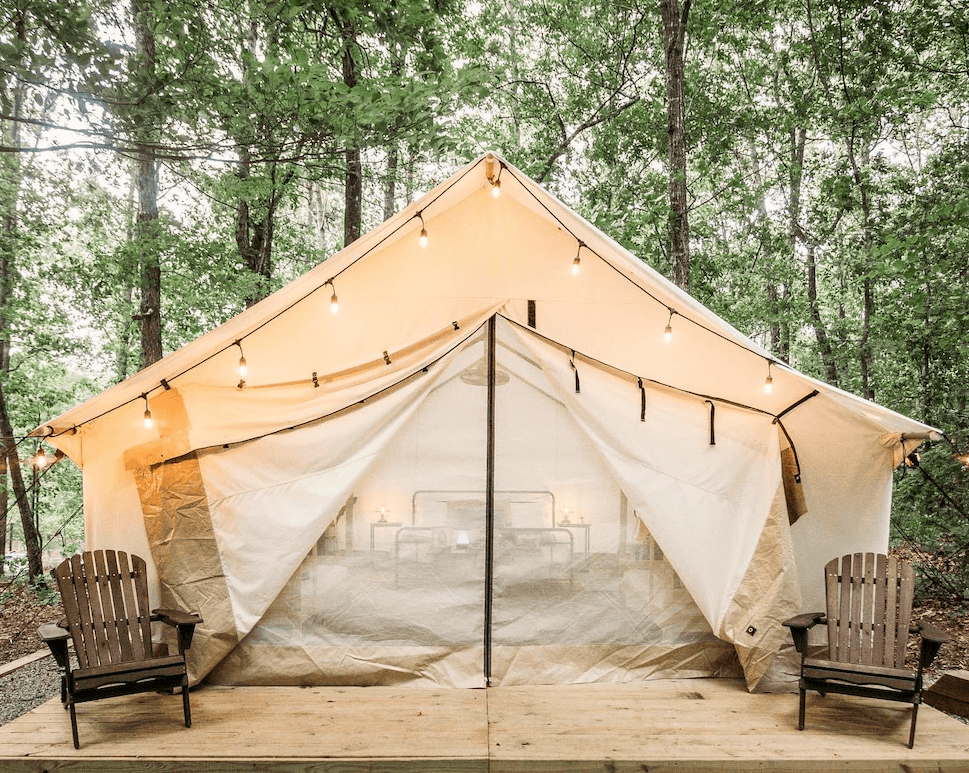 Dawsonville, GA: NASCAR Heritage and North Georgia Mountain Adventures — Sip & Savor photo