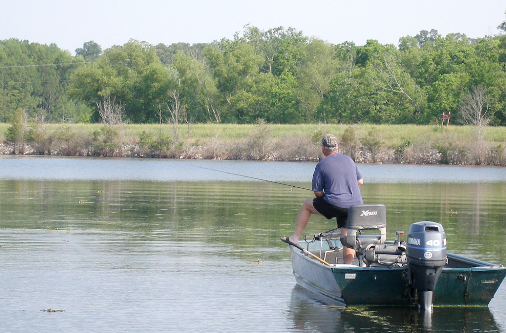 Things To Do in Evangeline Parish