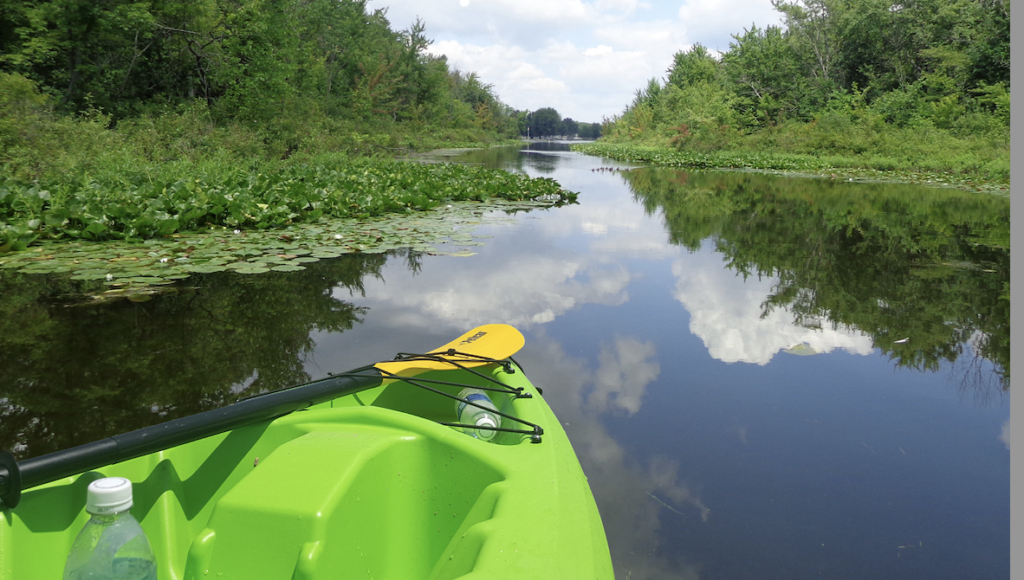 Michigan’s Coldwater Country