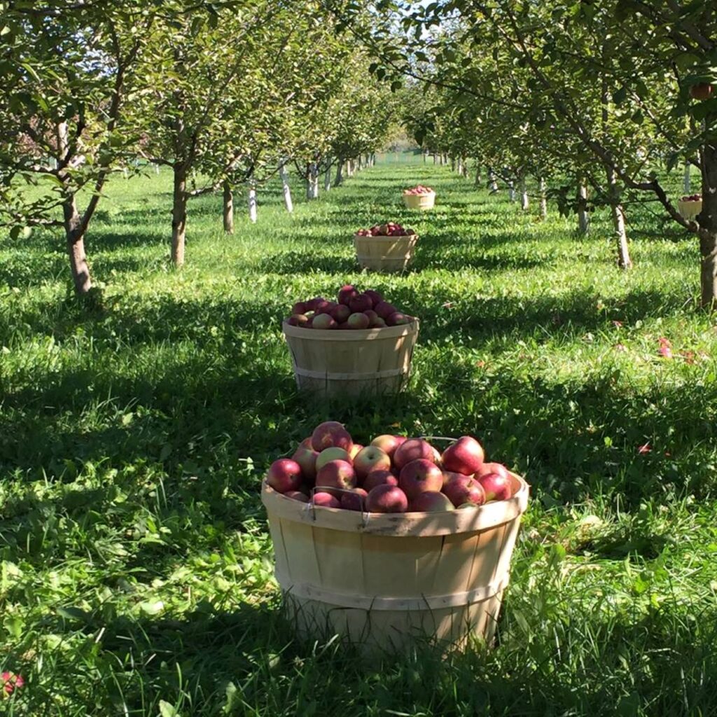 Discover the beauty of Clark County