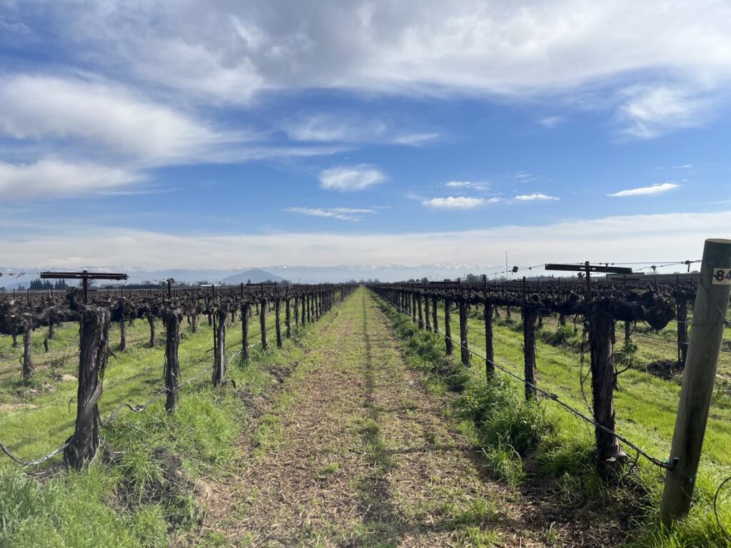Fresno County