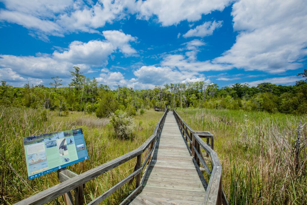 Liberty County