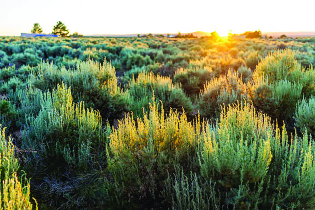 Things To Do in Grant County