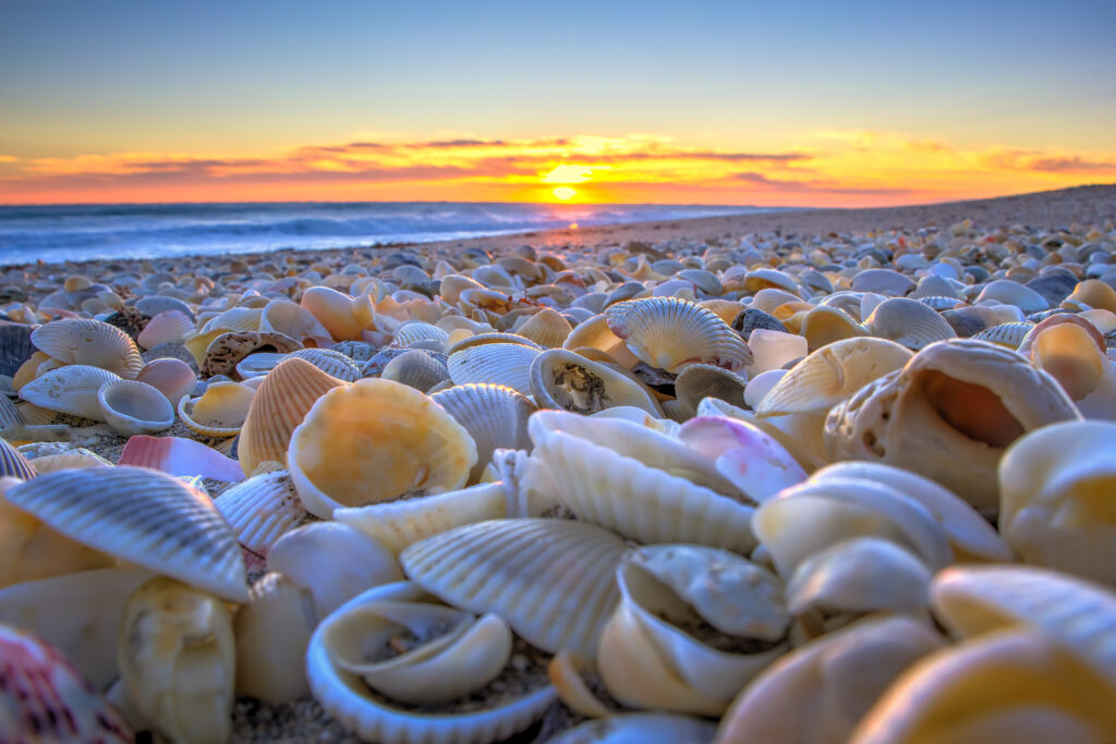 an idyllic slice of paradise called Martin County