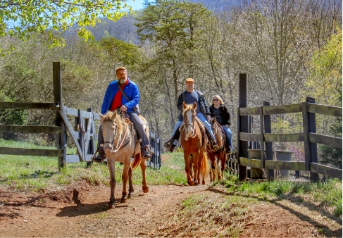 Nestled among the North Georgia Mountains, Brasstown Valley Resort & Spa redefines the typical mountain getaway. — Travel photo