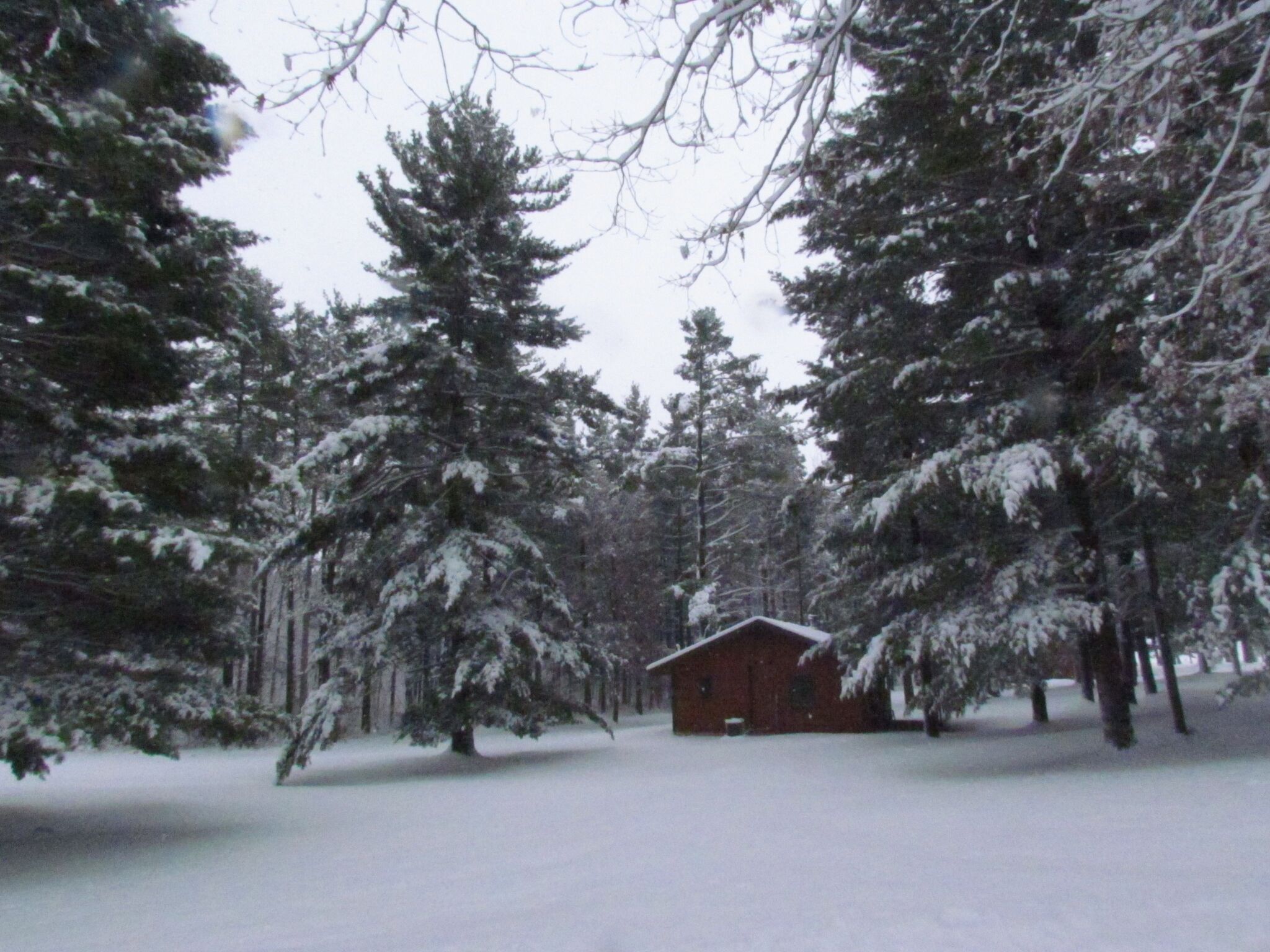 Flock to the Rock: A Winter Wonderland in LaSalle County, Illinois — Taste photo