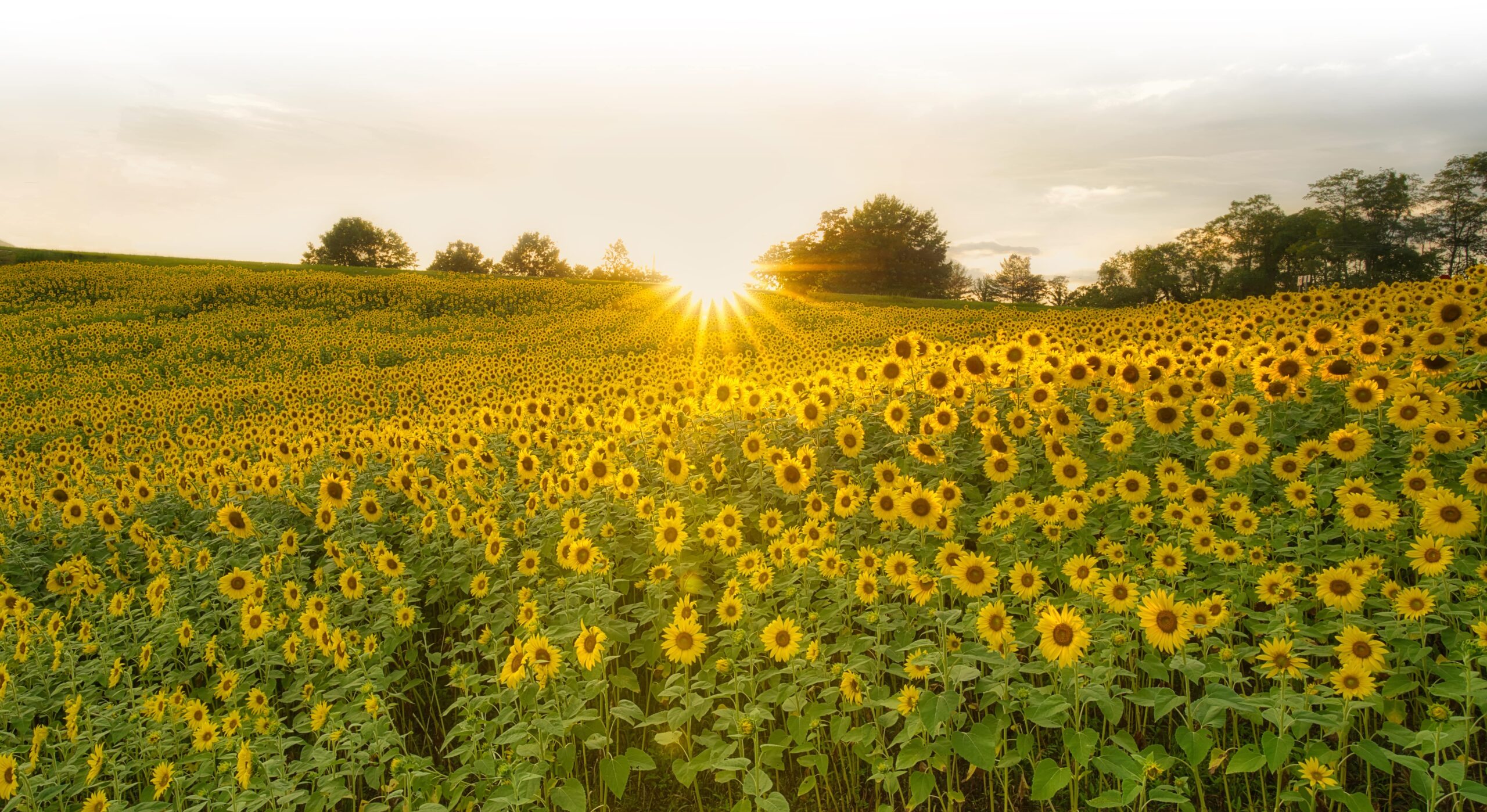An unforgettable summer adventure awaits in Franklin and Nantahala in North Carolina. — Taste photo