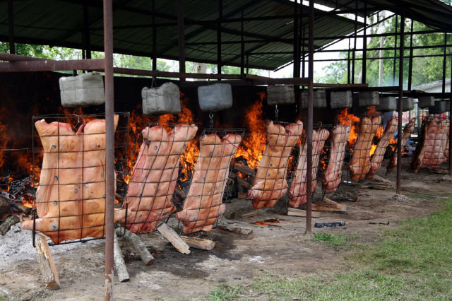 Cochon De Lait Festival