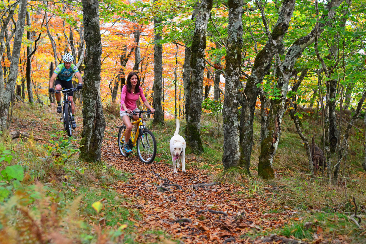Emerald Outback Credit Beech Mountain Tda Beech Tda