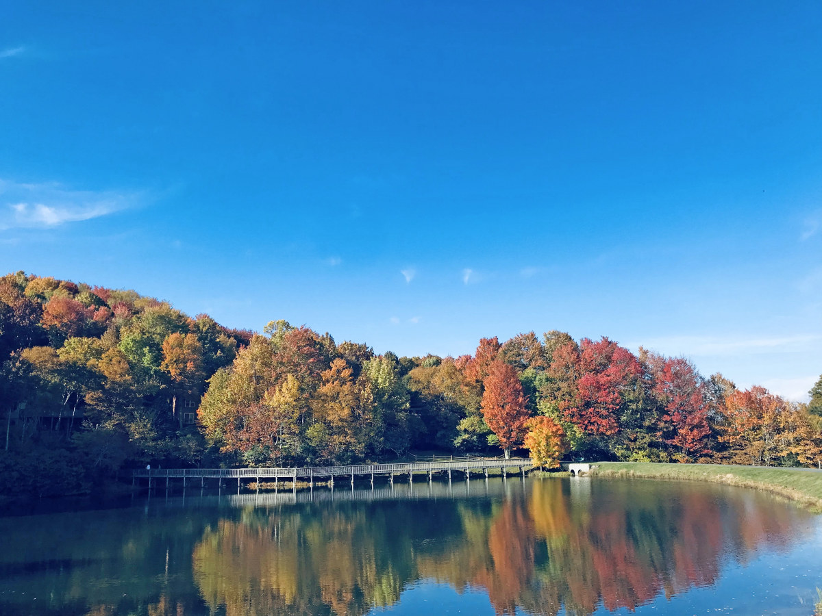 Lake Coffey Fall 2022 Credit Armando Garcia Beech Tda