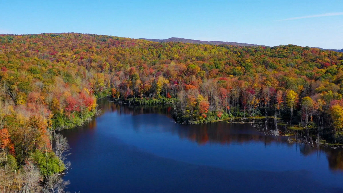 Big Cherry Fall Aerial