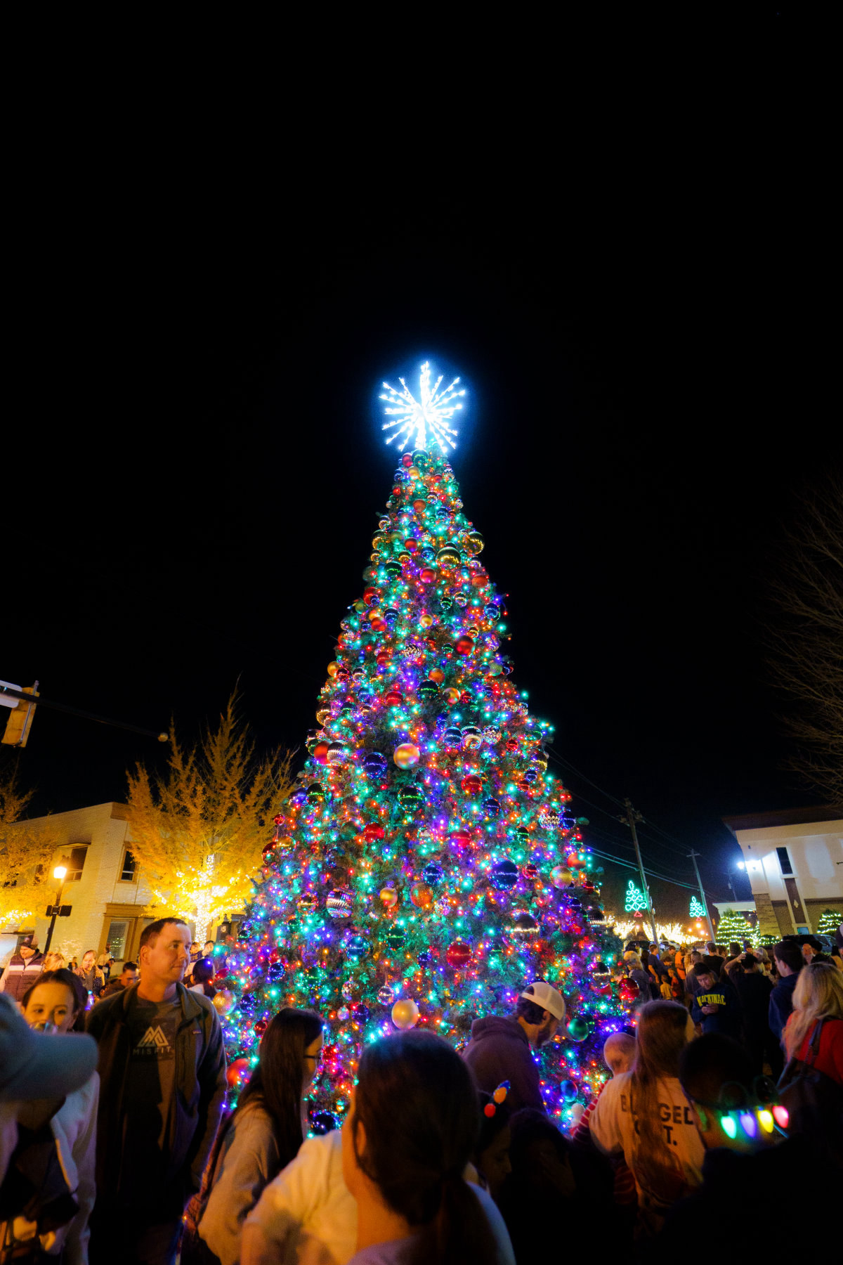 Downtown Tree Lighting 2