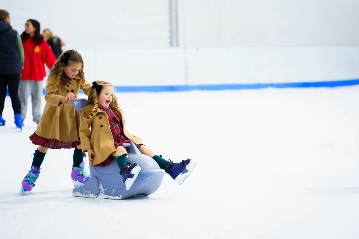 Rink On The River 3