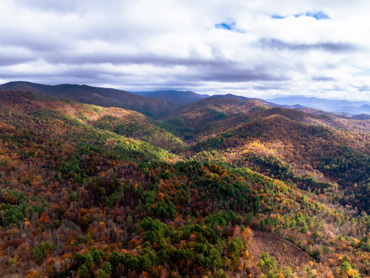 Fall Scenery Nov 24 8 2 Casey Kerr