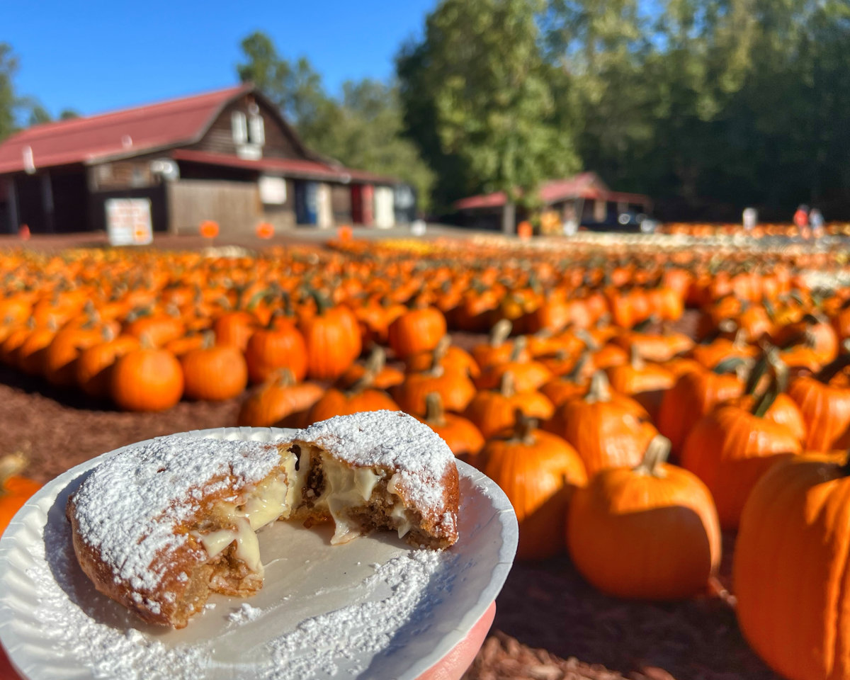 Burtsfriedpumpkinroll Jpg