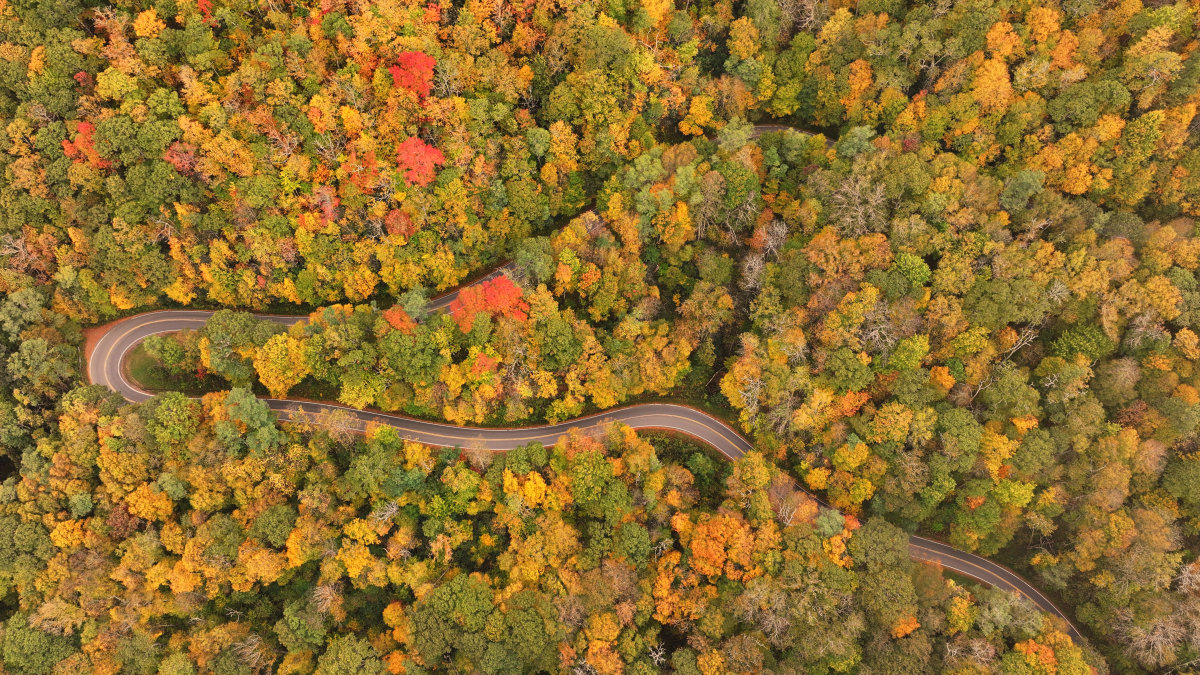 Fall Road Eric Haggart