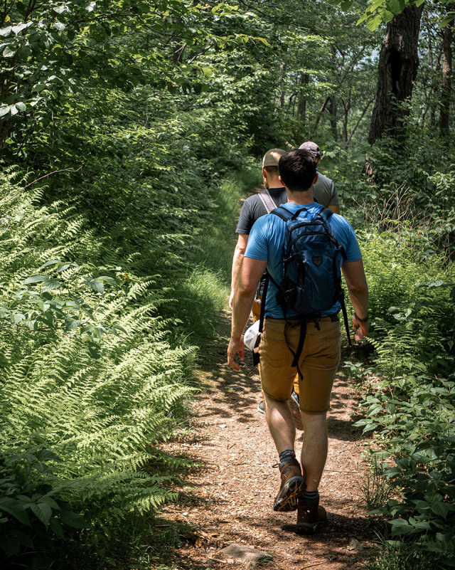 Hikers on a forest trail in Hardy County, West Virginia