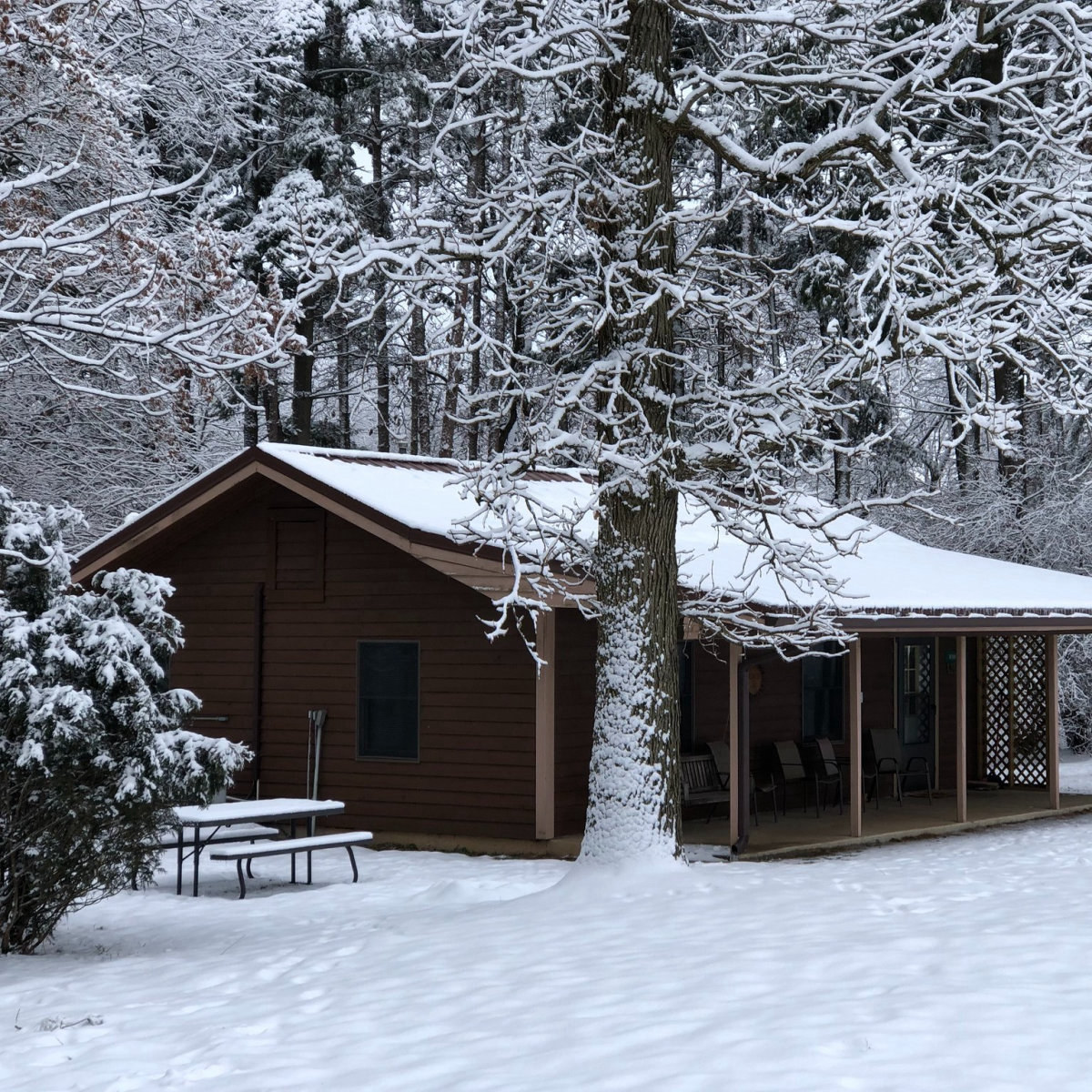 Kishauwau Cabins
