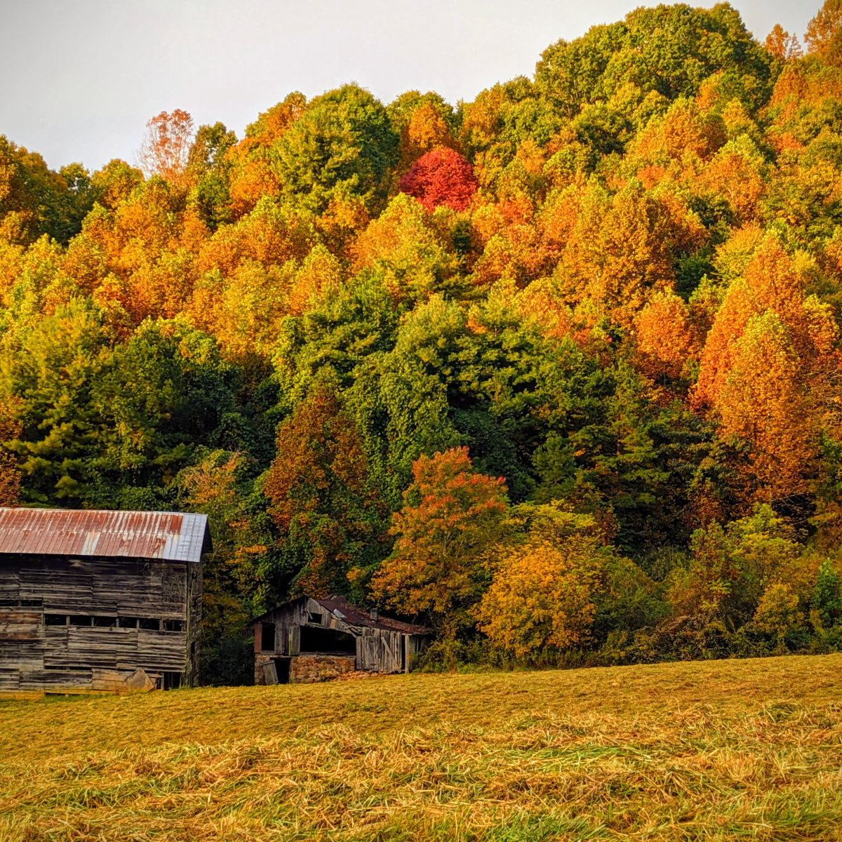 Madison County, North Carolina: Mountain Trails, Barns, and Blue Ridge Beauty