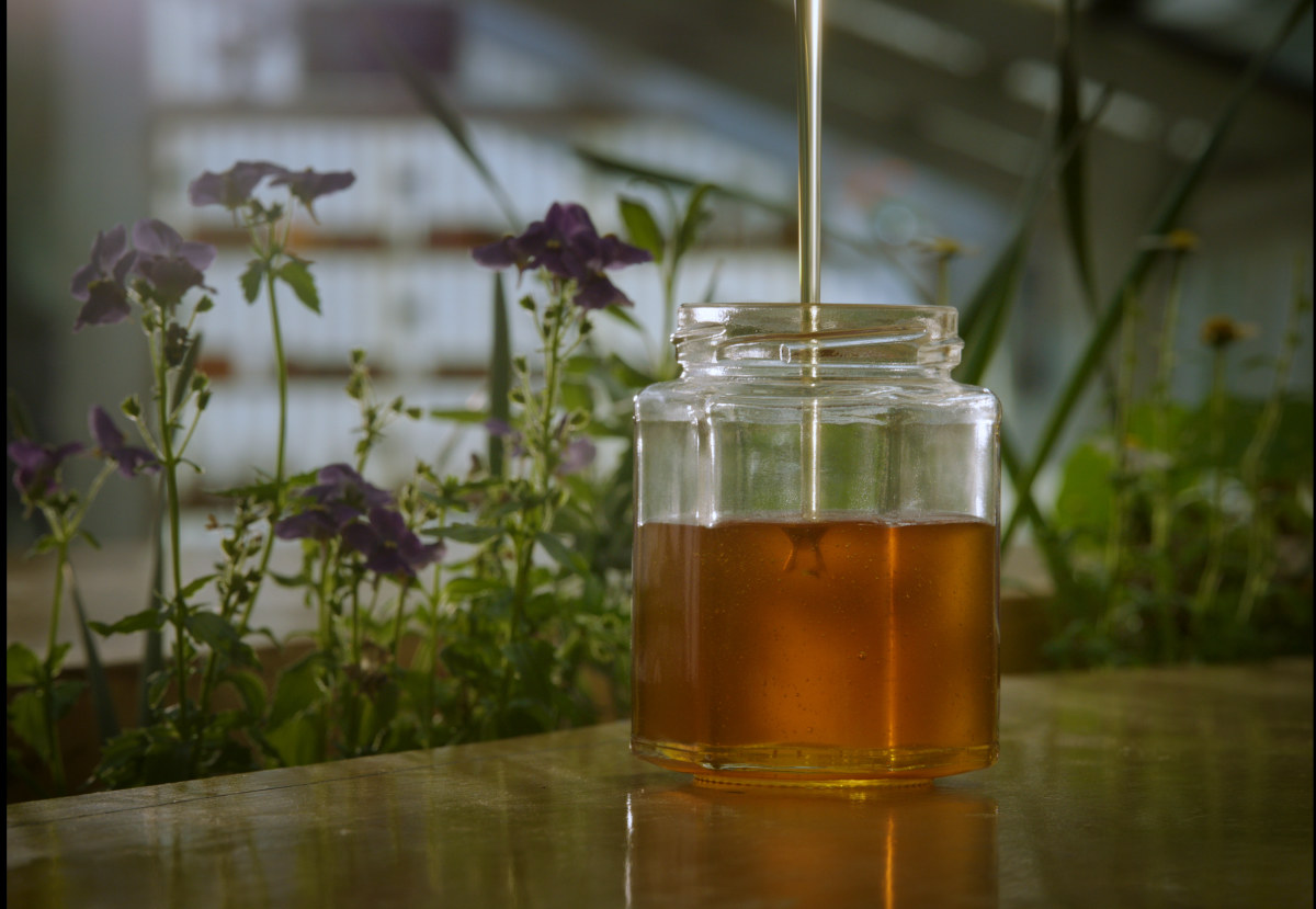 Heidrun Honey — Marin County, California