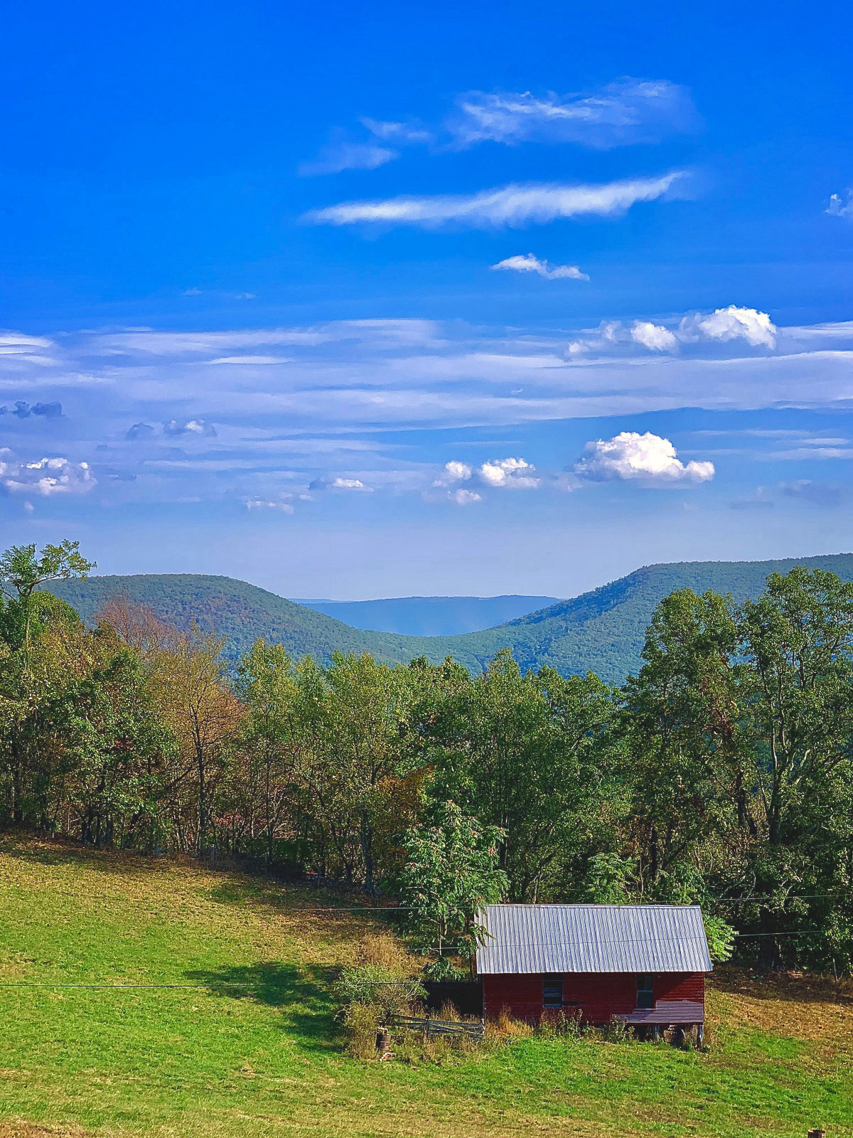 Saddle Mtn By Randy Crane