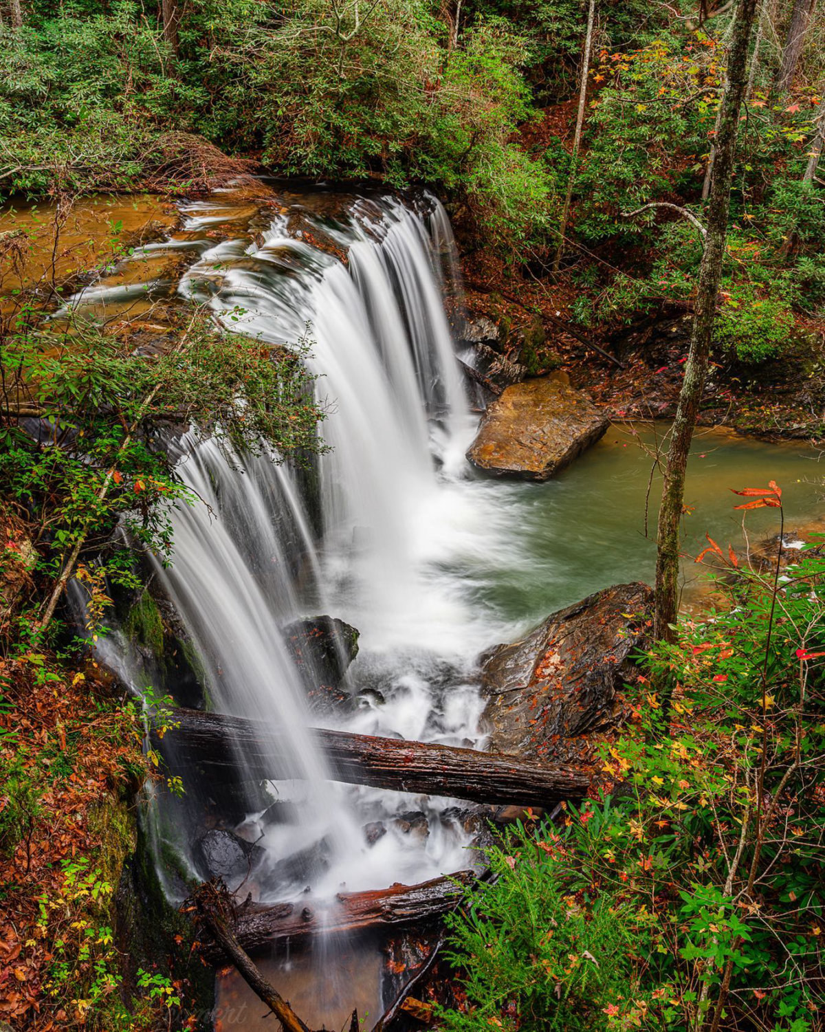 Middle Brasstown Falls Cricket Barnett