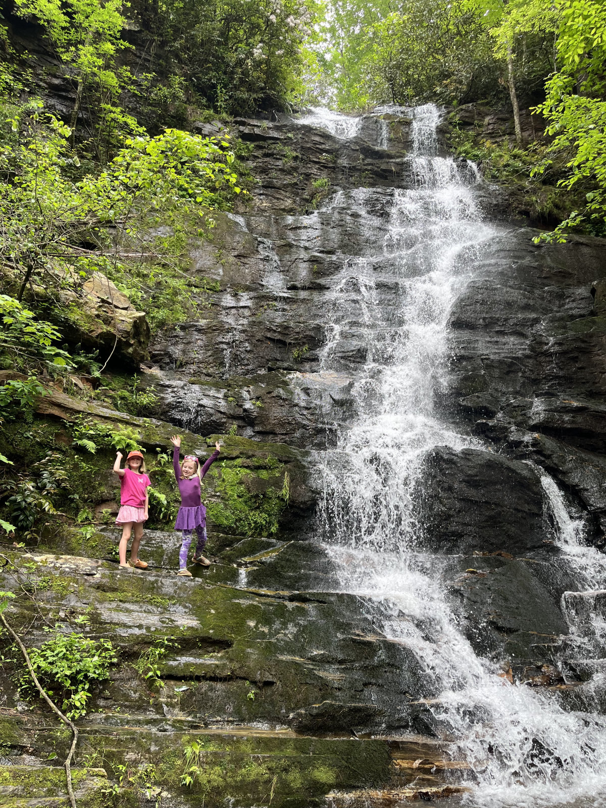 Reedy Branch Falls Cricket Barnett