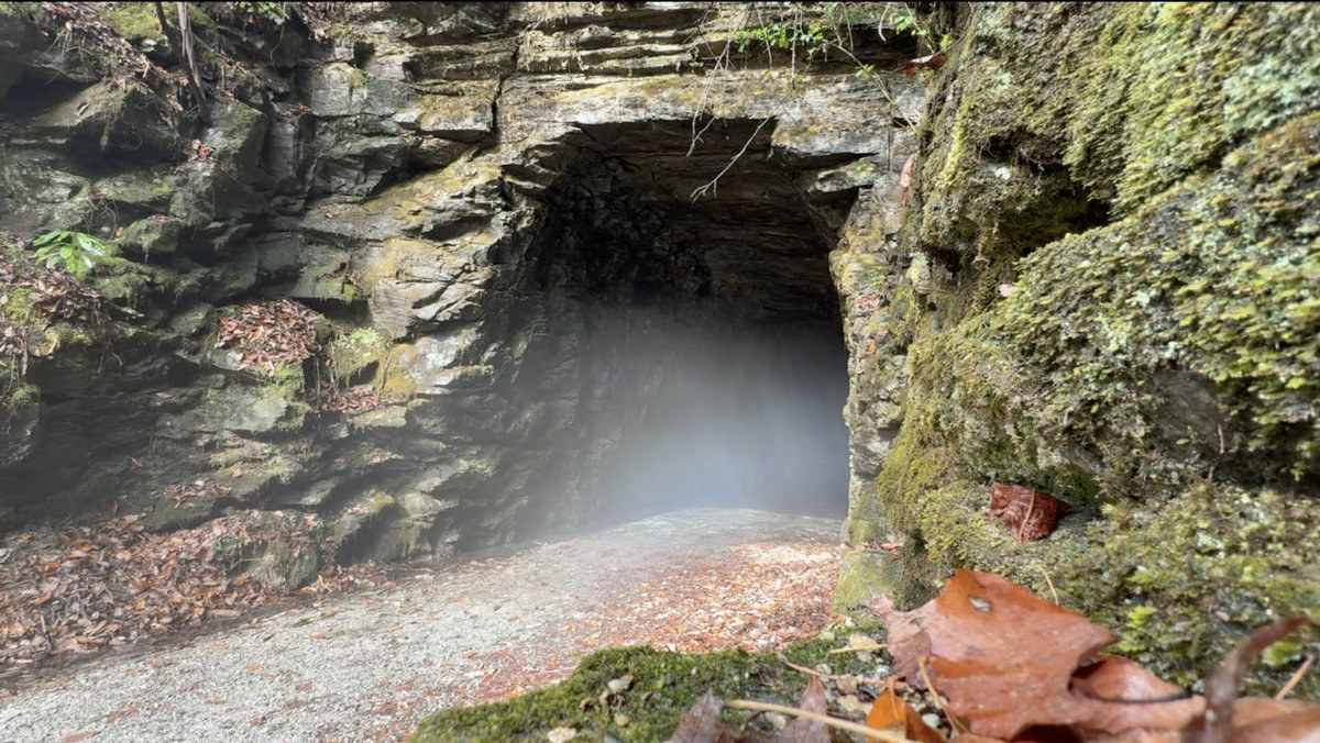 Stumphouse Tunnel Cricket Barnett
