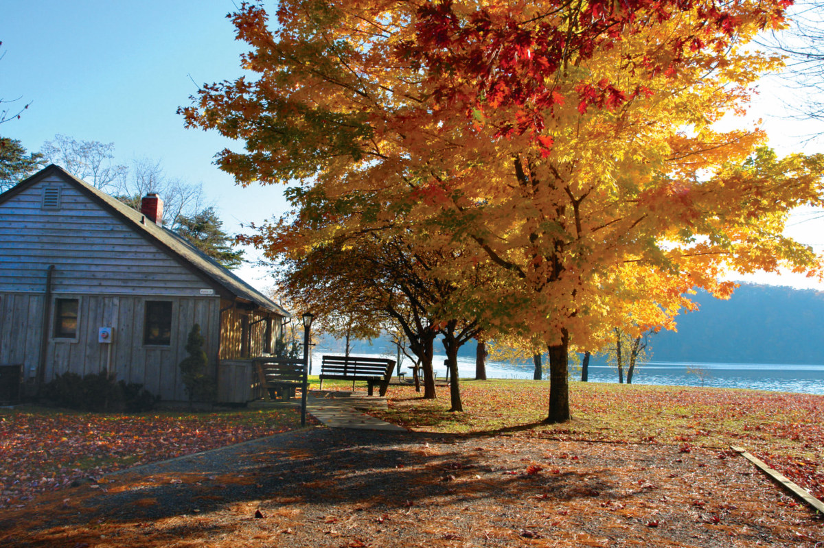 Autumn foliage along the New River Trail in Pulaski County, Virginia
