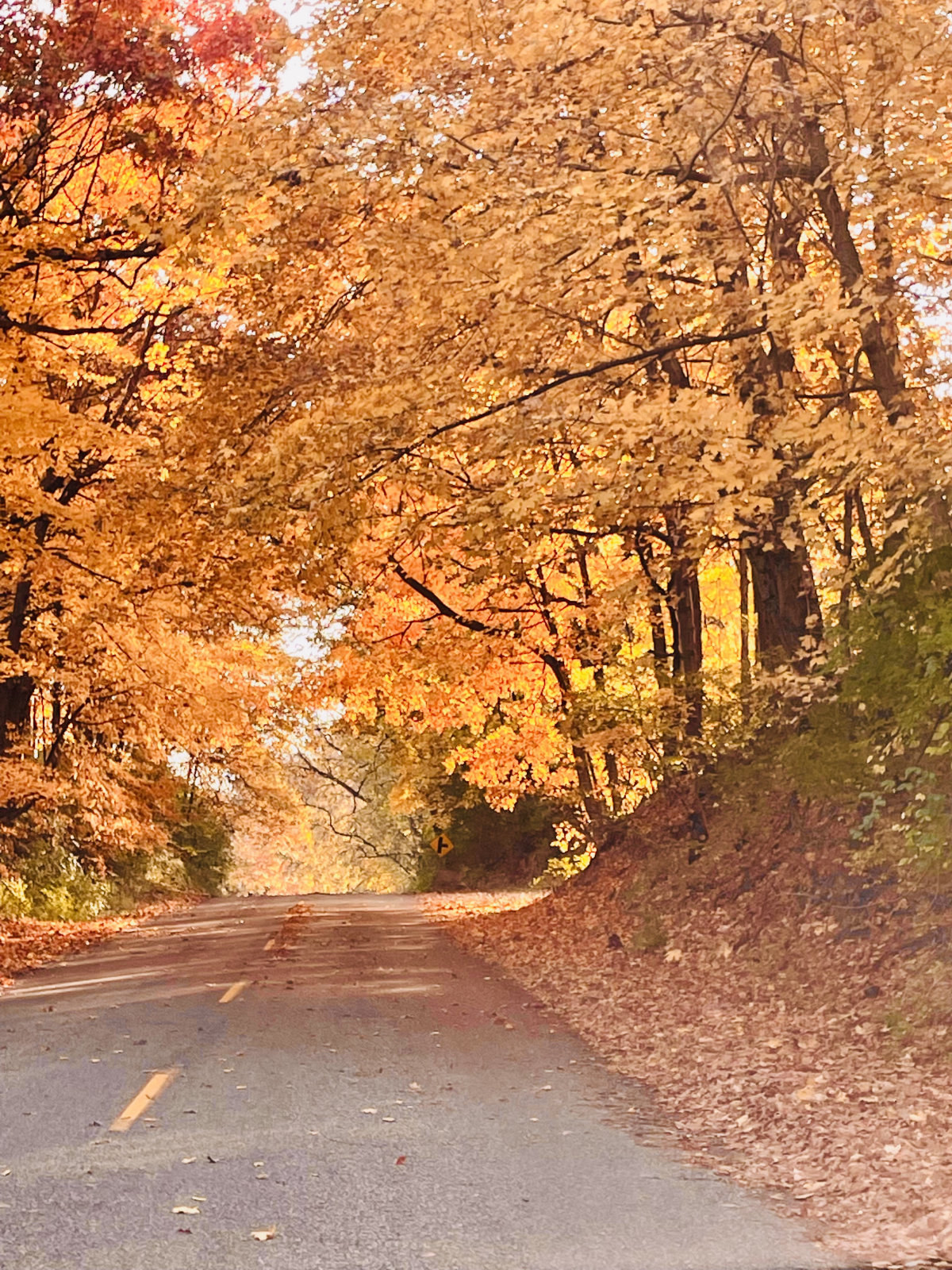 Fall Road 2 Hc Lori Tuttle