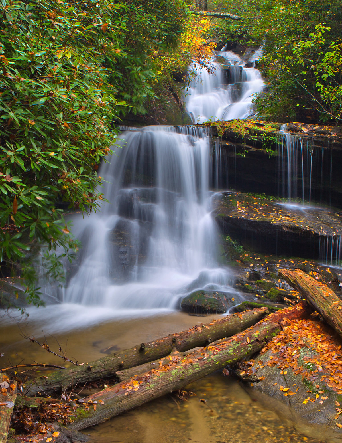 Martin S Creek Falls Mad Madison Sanders
