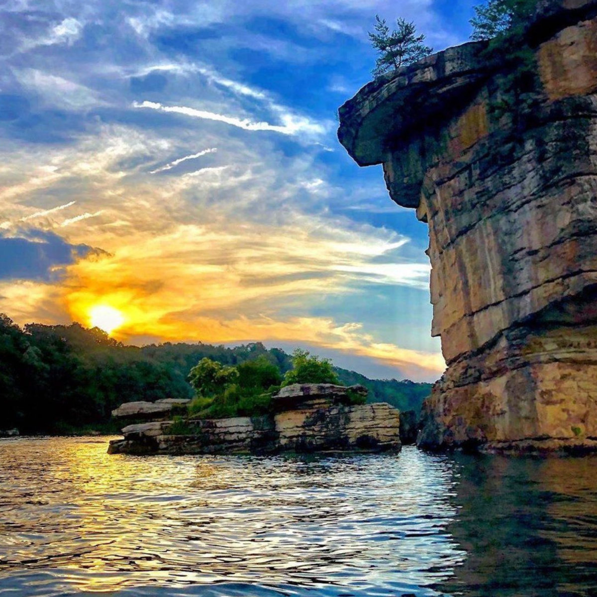Lpsunset Tracy Mccoy