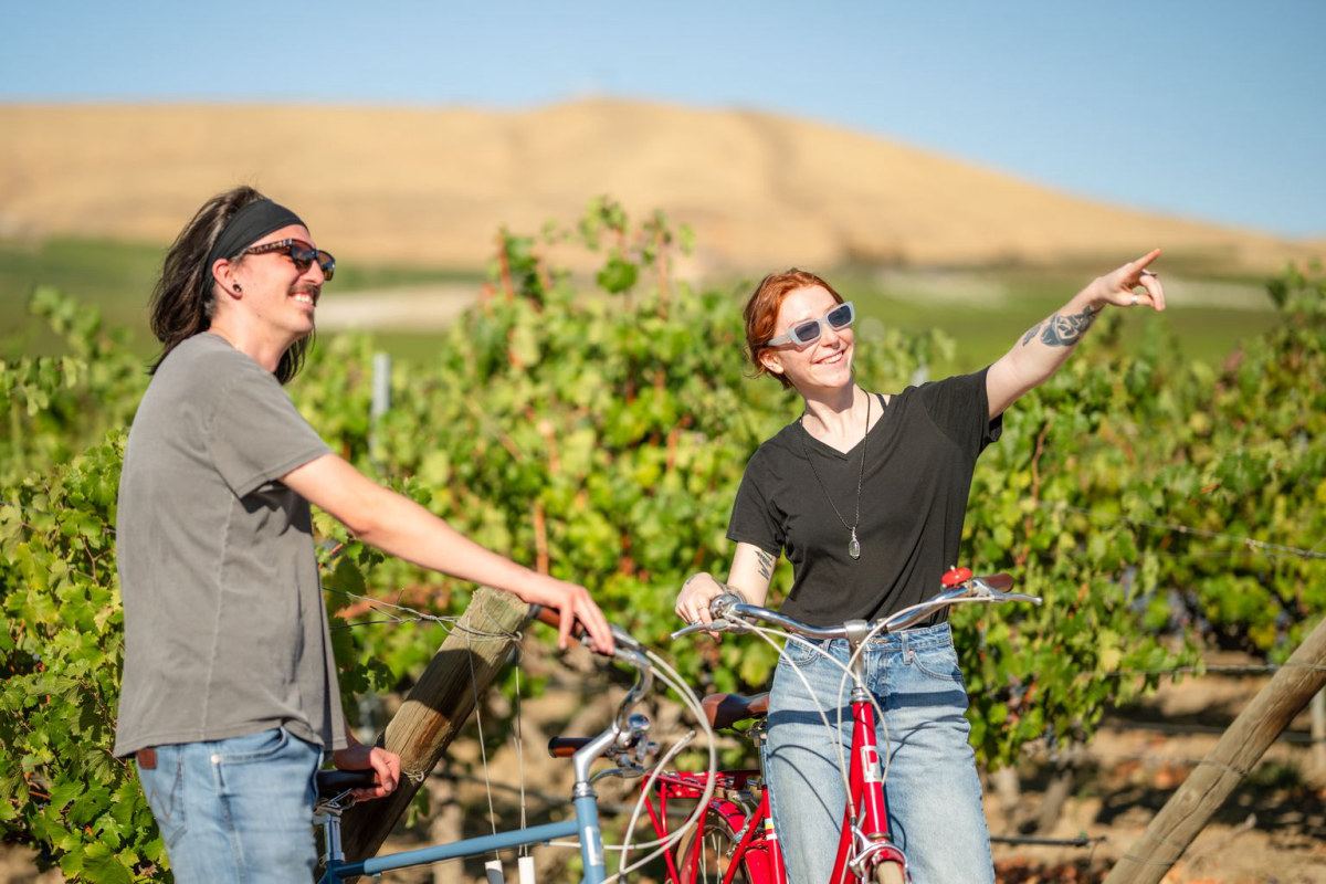 Redmountainwinery Bentoncity 19