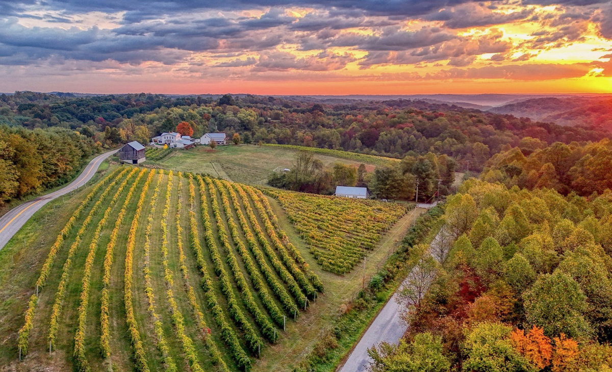 Lepetitwinerydrone Aidan Reagh Jpg