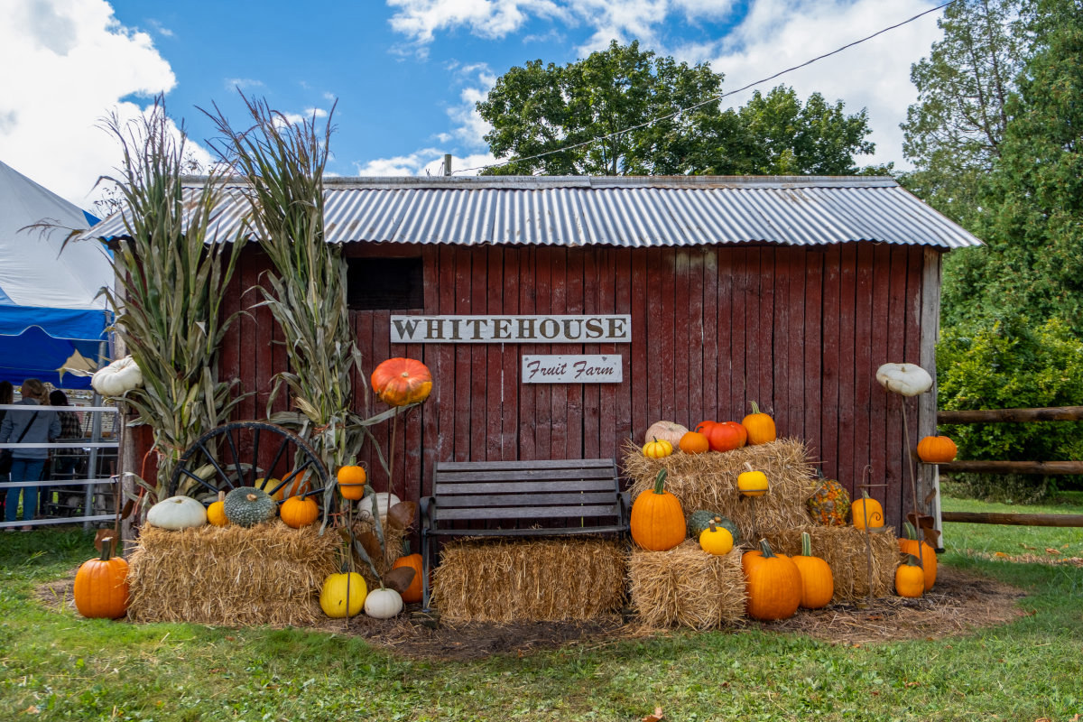White House Fruit Farm