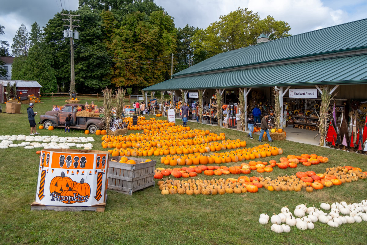 White House Fruit Farm2