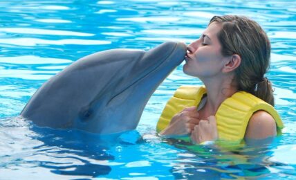 Best Dolphin Cruises in Destin-Fort Walton Beach