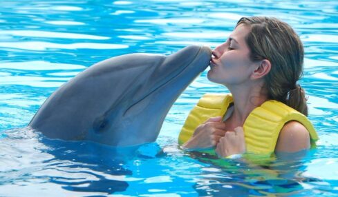Best Dolphin Cruises in Destin-Fort Walton Beach