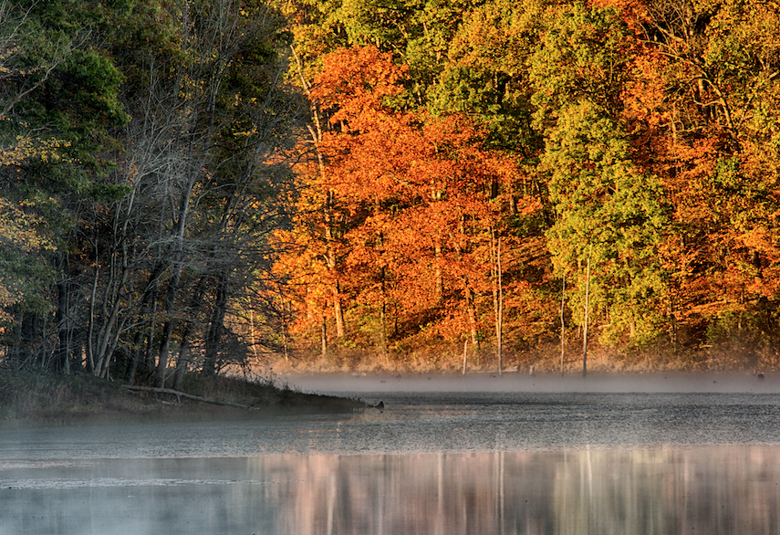 Berkeley County