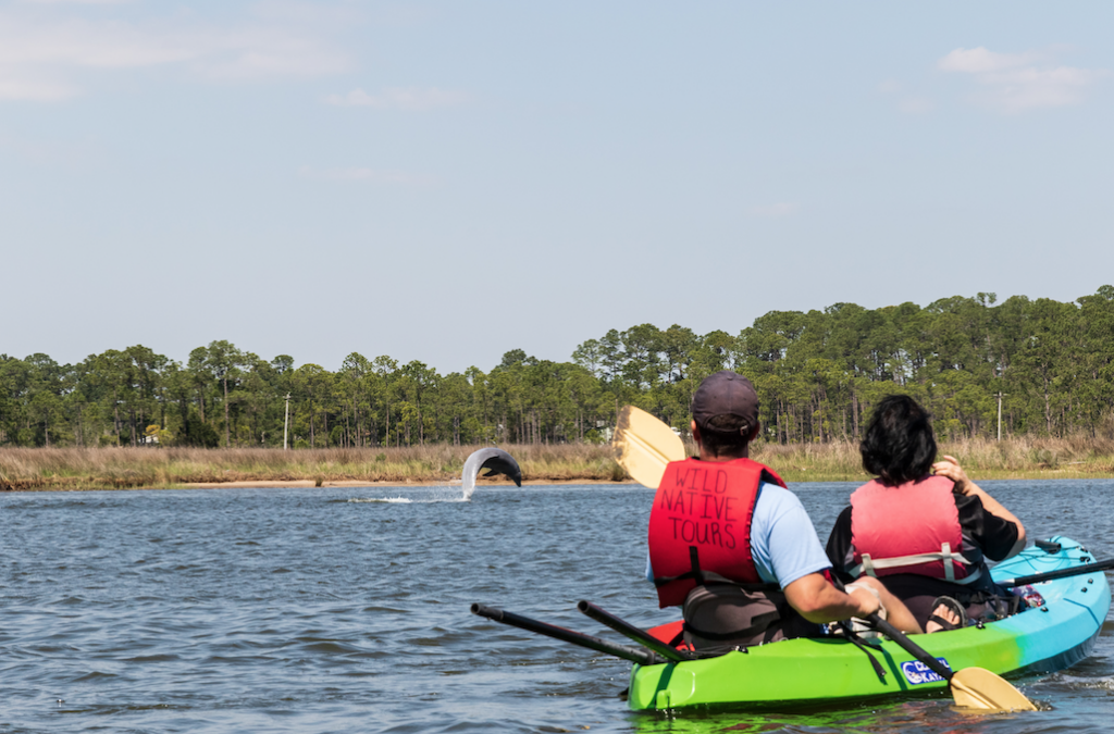 Gulf Shores and Orange Beach