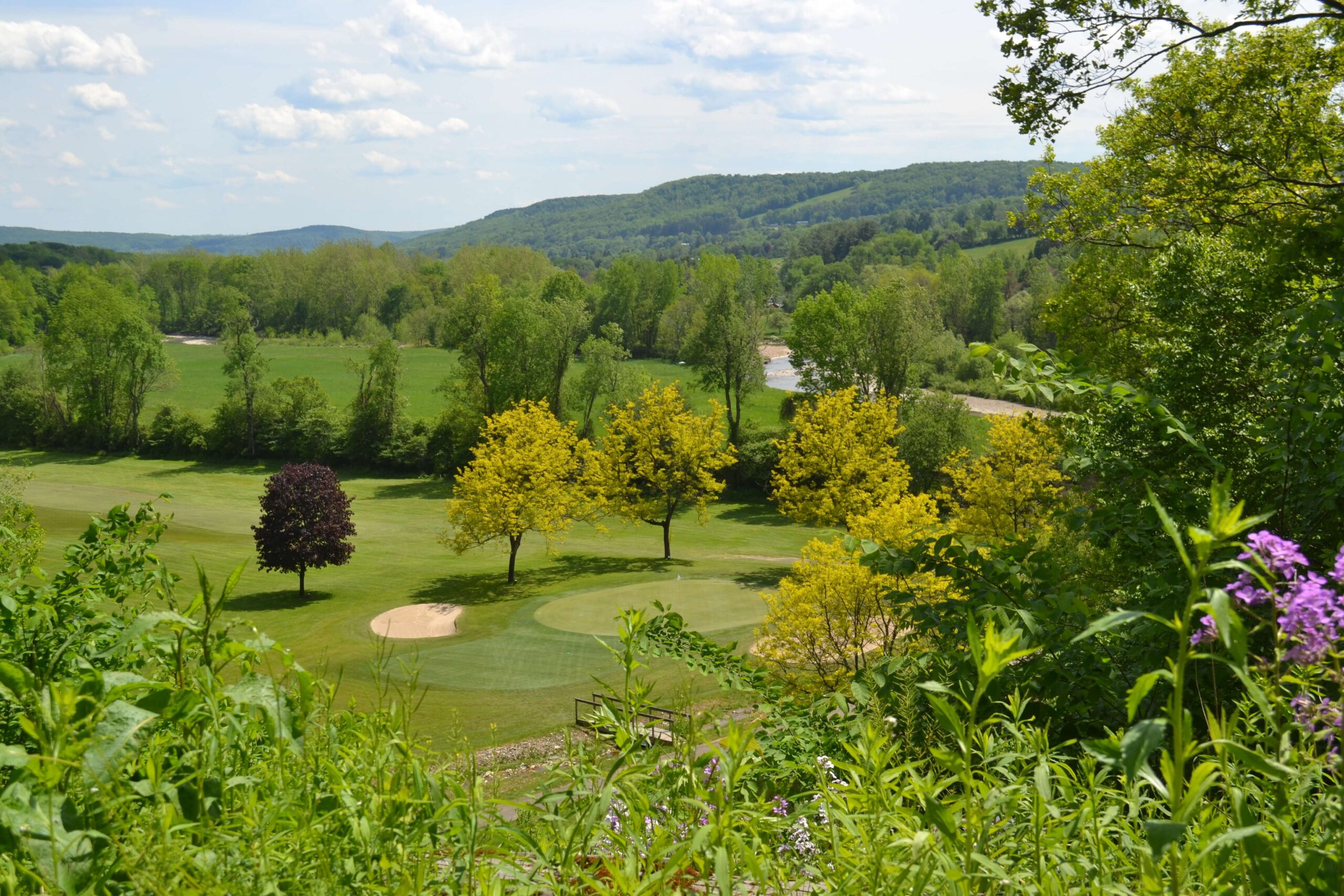 Chenango County