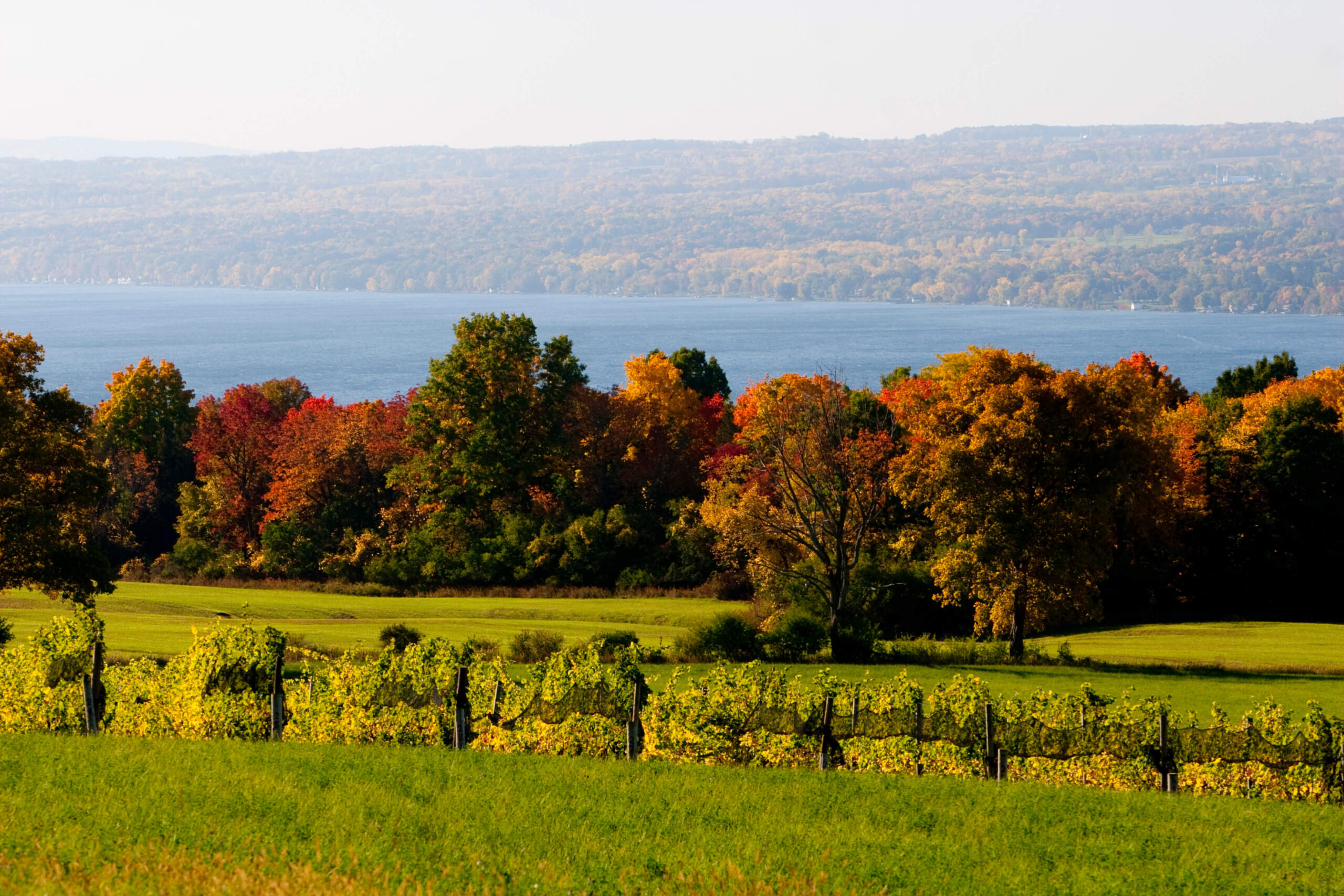 Finger Lakes