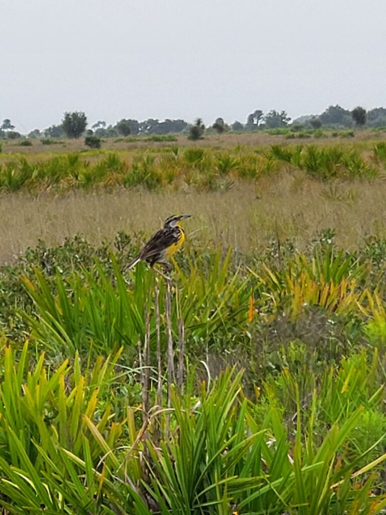 Okeechobee Florida