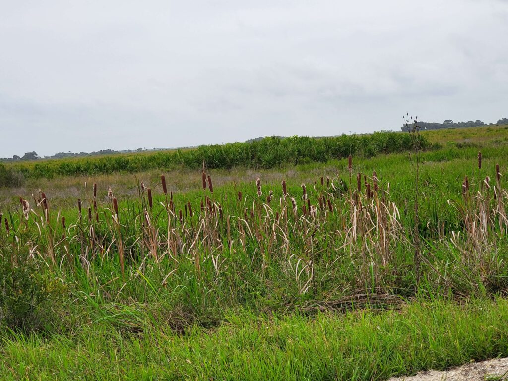 Okeechobee Florida