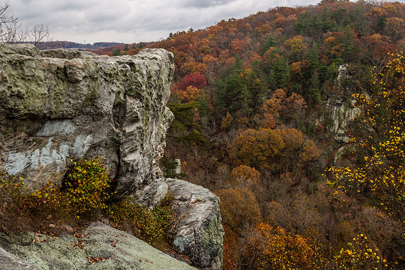 What Things to do in Harford county