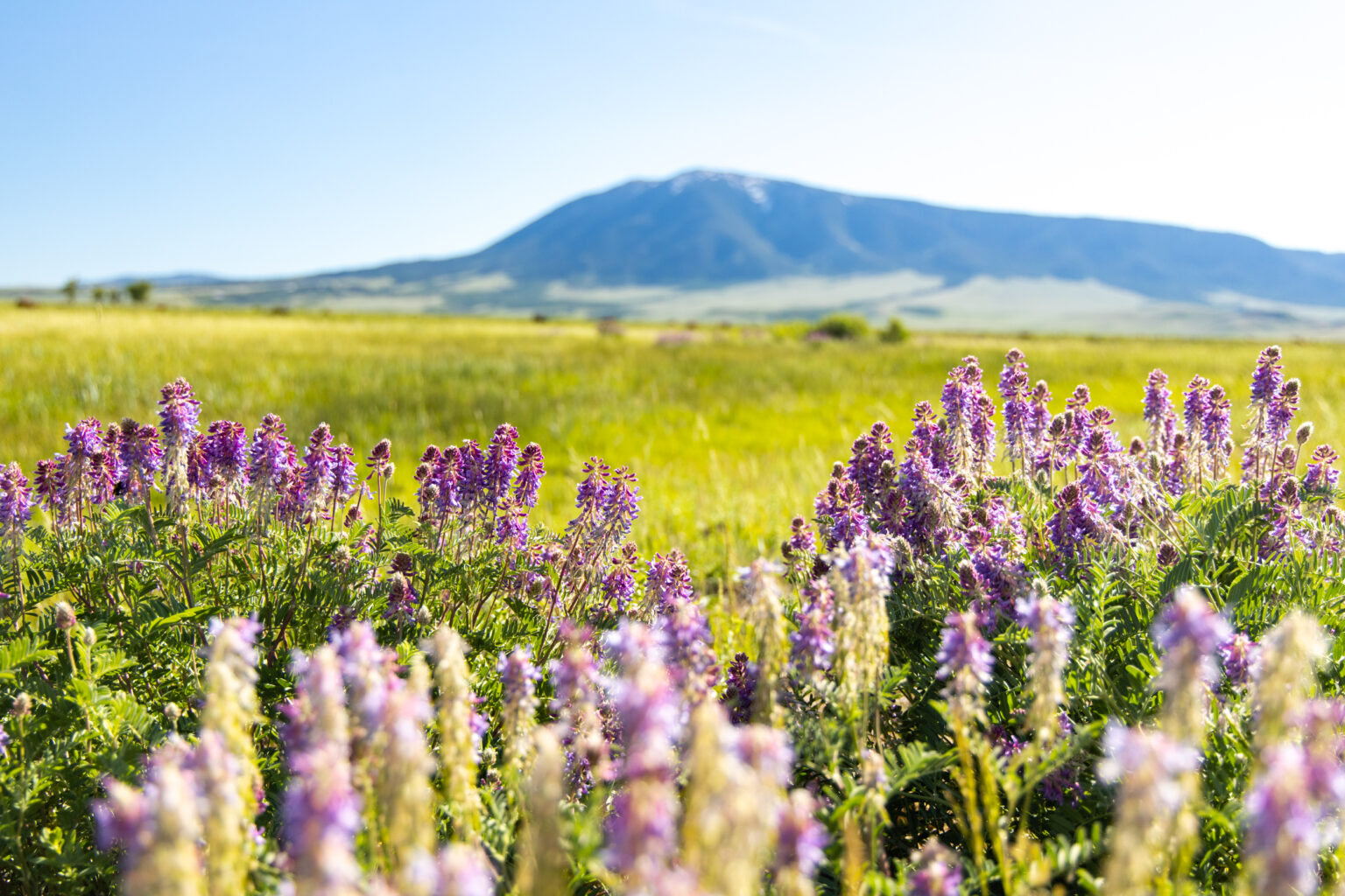 The Carbon County Wyoming Travel Taste and Tour Magazine