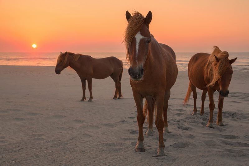 the most scenic spots on Maryland’s Coast